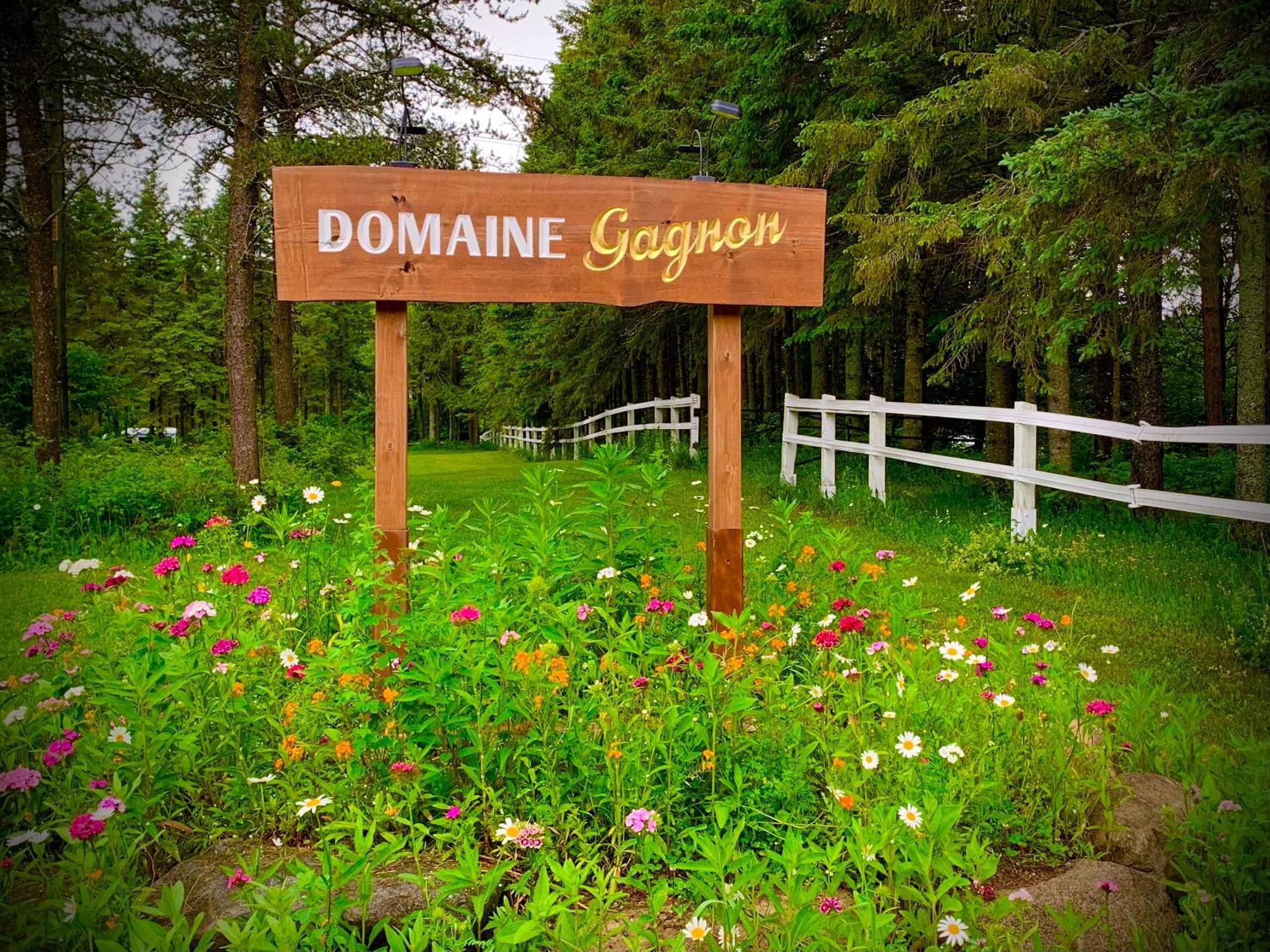Domaine Gagnon Βίλα Saint Sebastien Εξωτερικό φωτογραφία